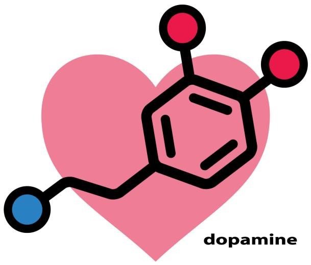 نقش دوپامین در افزایش ترافیک سایت با تولید محتوا
